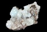 Lustrous Hemimorphite Crystal Cluster - Congo #148433-1